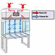 Hood; Vertical Laminar Flow Station, Powder-Coated Steel