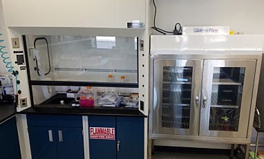 Fume hood with laminar flow storage cabinet