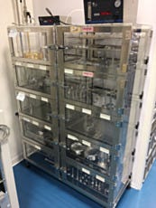 10 Chamber acrylic desiccator cabinet with automatic nitrogen gas purge