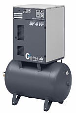 Oil-Free Scroll Compressor