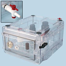 BEL-ART Desiccator Copolyester Secador Gas Ports Clear