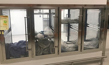 Biopharmaceutical Passthrough Used to Store Gowning Material