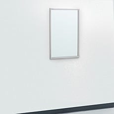 full view of framed biosafe cleanroom mirror mounted on wall