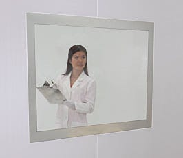 Frameless Window