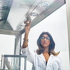 BioSafe universal canopy fume hood halogen light adjustment interior view