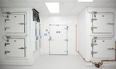 Blood plasma cold room with multiple passthrough chambers and monitoring systems
