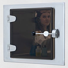 Pass-Through Chamber with Bronze Tempered Glass Door