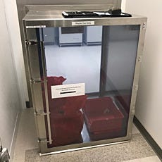 Cleanroom cart pass through in stainless steel for transferring cell cultures