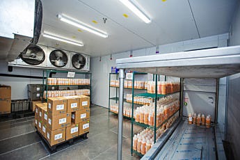 Blood plasma cold room interior with cooling system and storage racks