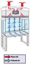 Vertical Laminar Flow Hood Airflow Diagram