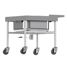 Direct view of stainless soak sink with casters