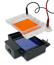 MyGel InstaView™ Gel Tank by Accuris Instruments