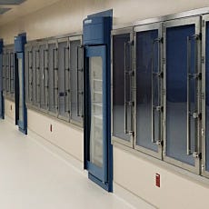 Custom CleanSeam Stainless Steel Pass-Through Chambers in a Compounding Pharmacy Wall