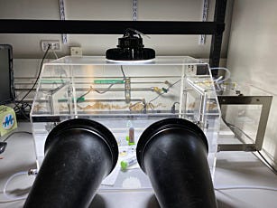 Plastic acrylic glove box airlock for anaerobic transistor semiconductor manufacturing