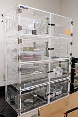Large desiccator cabinet in clear acrylic for glass lamination