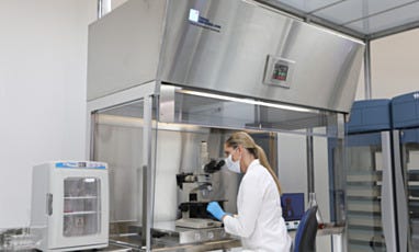 Vertical Laminar Flow Station with Vibration Isolated Work Surface