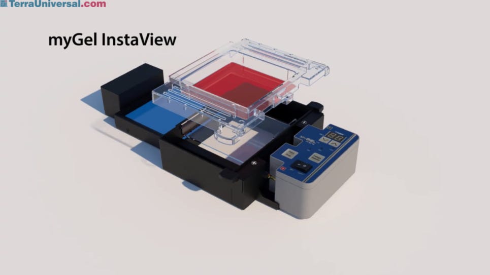 InstaView™ Electrophoresis Systems for real time viewing of DNA separation