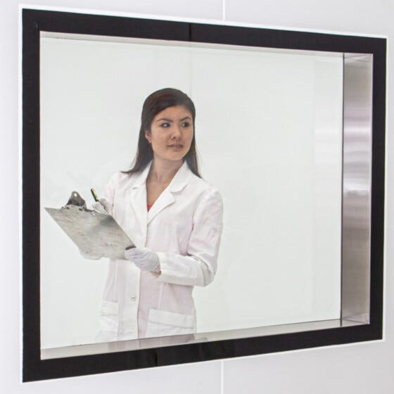 Cleanroom Windows