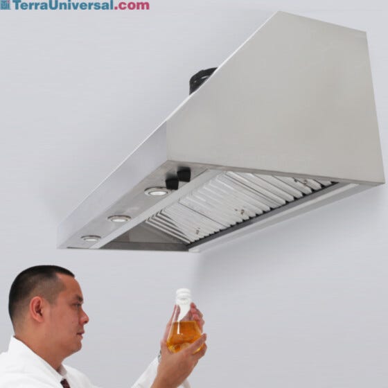 Wall-Mount Canopy Laboratory Fume Hood with Model