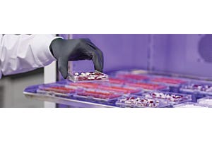 Consider CO2 When Selecting a Lab Incubator