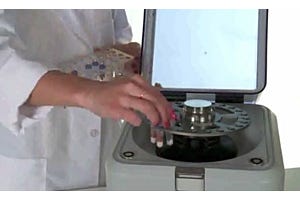Cell Disruption: Sonication vs. Homogenization