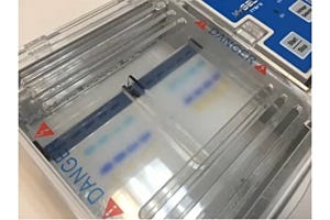 Gel Electrophoresis Stain: What to Use?