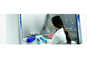Making Sense of Biological Safety Levels