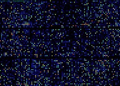 Generates high quality fluorescent cDNA probe mixtures from mRNA  |  3033-56 displayed