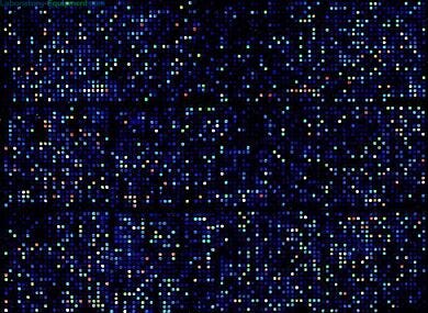 Prepares total RNA in high yield and purity from a variety of tissue samples and cells  |  3033-63 displayed