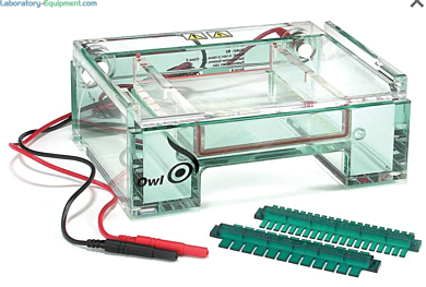 MARINE'S GEL EX2個 Owl EasyCast B2BP Horizontal Mini-Gel Electrophoresis | Thermo Fisher