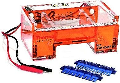 Owl EasyCast B1 Mini-Gel Electrophoresis | Thermo Scientific