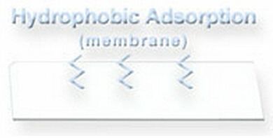 All substrate slides are compatible with a variety of Arrayit instruments, tools and consummables  |  3031-75 displayed