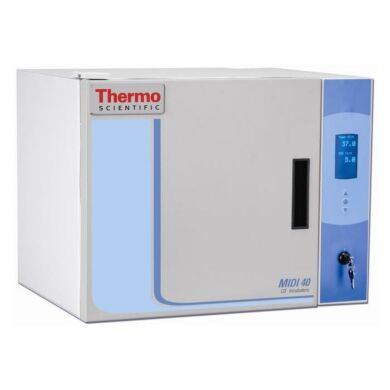 Midi™ 40 CO2 Incubator ideal for single user applications in limited lab spaces; coved SS interior and includes 4 shelves | 3615-78 displayed