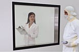 Custom Cleanroom Windows