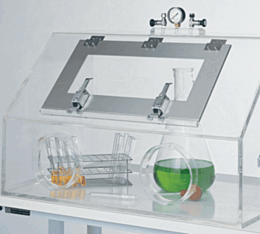 Front Access Panel; Swing Up, Acrylic, for Series 100 Gloveboxes