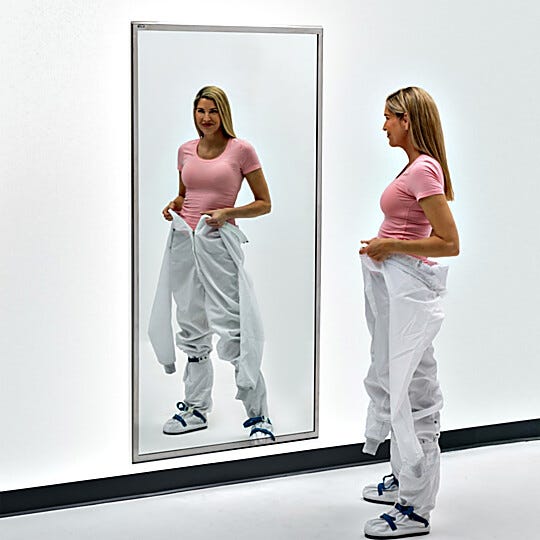 BioSafe® cleanroom mirrors eliminate sharp edges to simplify cleaning. Industrial-grade, copper-free glass insures optimal cleanliness and corrosion protection  |  5252-52B displayed