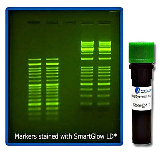 SmartGlow nucleic acid pre-stain and Loading Dye are safe and economical alternatives to using Ethidium Bromide  |  2808-10 displayed