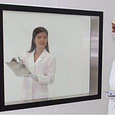Custom Cleanroom Windows