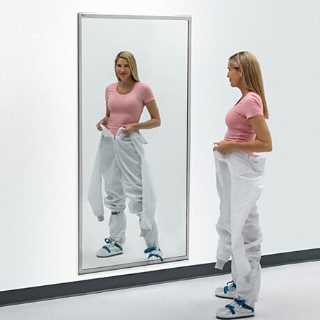 BioSafe® Cleanroom Mirrors