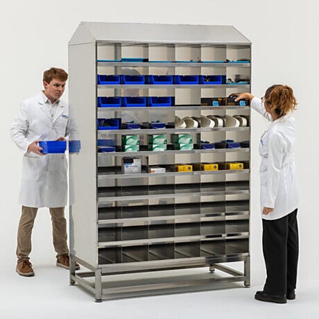 Free-Standing Multifunctional Storage Systems