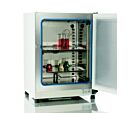 Heratherm Advanced Protocol Security Microbiological Incubator, 2.30 cu. ft., Powder Coated Steel Exterior, Thermo Fisher Scientific, 51028069, 120 V