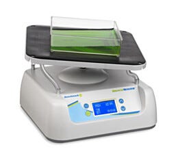 Benchmark Scientific Rocker 3D, BenchWaver, US Plug, Flat Mat, 120 V B3D5000