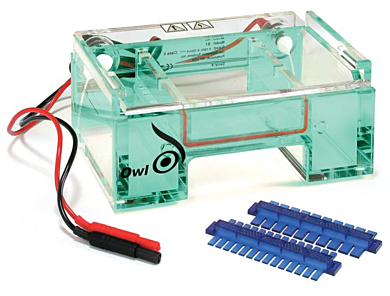 Electrophoresis system includes two double sided 10/14 Well, combs, UVT gel tray, lid and power supply; B1-BP model with two buffer exchange ports  |  1017-06 displayed
