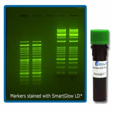 SmartGlow nucleic acid pre-stain and Loading Dye are safe and economical alternatives to using Ethidium Bromide | 2808-10
