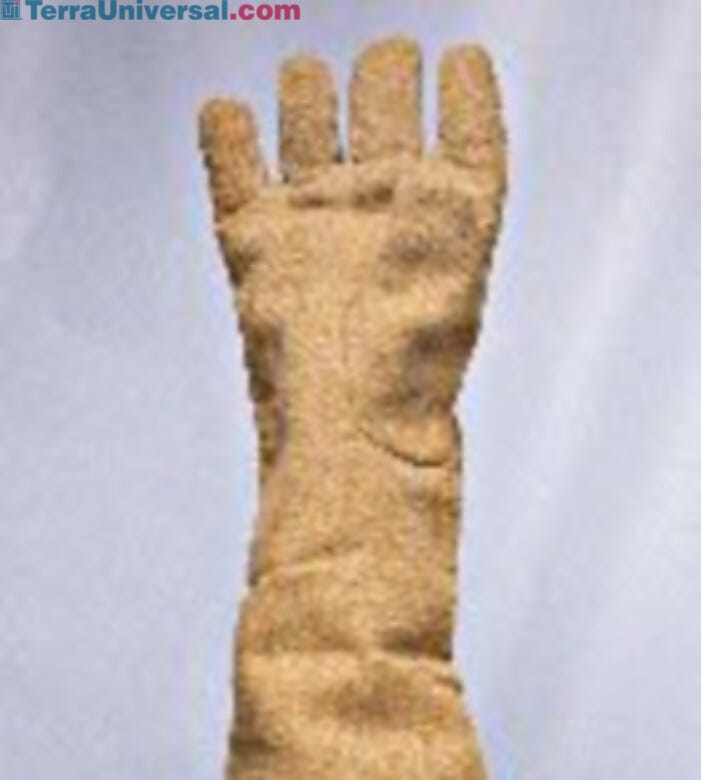 High temperature gloves are designed for dry handling of materials with contact temperatures as high as 1200°F (644°C) | 1690-46 displayed