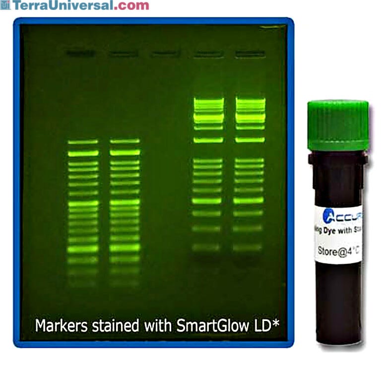 SmartGlow nucleic acid pre-stain and Loading Dye are safe and economical alternatives to using Ethidium Bromide  |  2808-10 displayed