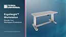Work Station, Cleanroom, ErgoHeight™; Non-Dissipative Laminate, Solid Top, 96