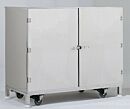 Storage Cabinet; High Security, 304 SS, 47