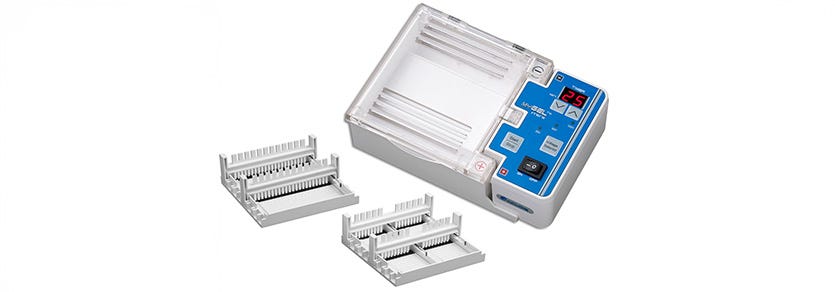 Gel Electrophoresis Stain: What to Use?